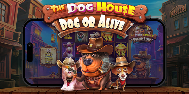 The Dog House – Dog or Alive
